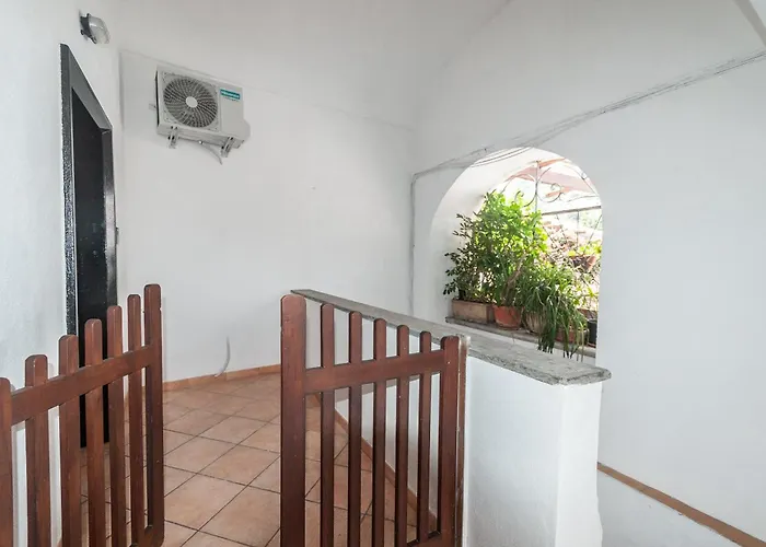 Fiore Di Loto Ischia